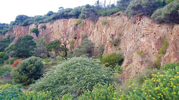 Nature reserve: Mornington Peninsula Shire is being urged to retain the disused Mt Martha quarry as a low key sanctuary with wetlands for birds and frogs instead of selling it to help pay for a swimming pool complex at Rosebud.
