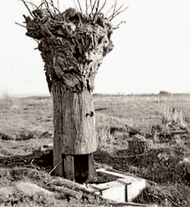 Above: A German lookout post at Messines.