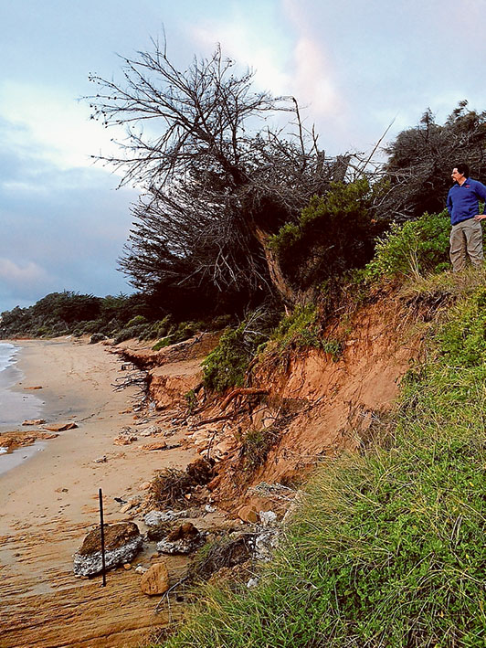 Going, going: Erosion at Portsea front beach toward the eastern end happened in early May during storms and strong winds. Picture: Josh Clark/Dive Victoria
