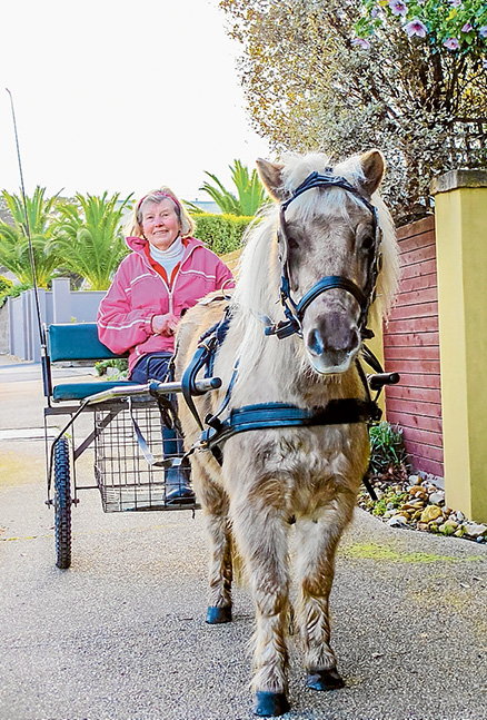 Horse-drawn: Simone Kelly and her jinker drawn by pet horse Taffy out exercising in Mt Martha.