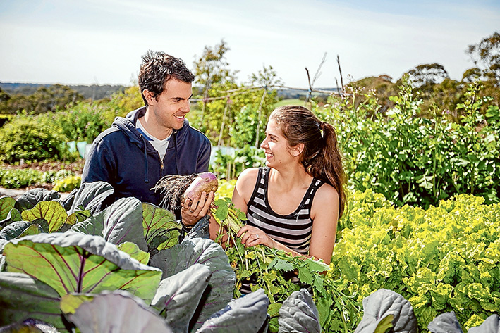 Salad days: THE peninsula’s first weekly produce market is the idea of Rachael Koch, who grew up in Frankston, and Matt Taylor, of Mt Eliza. Picture: Yanni