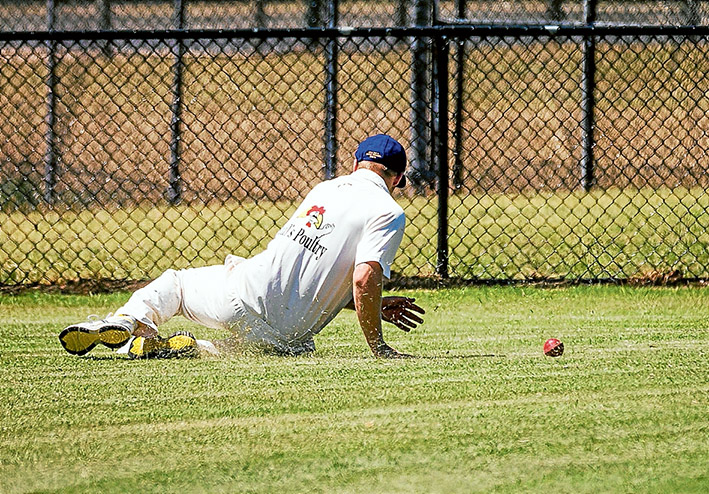 Saved by the rope: A somerville fieldsman saves yet another boundary by Long Island batsmen. Picture: Andrew Hurst