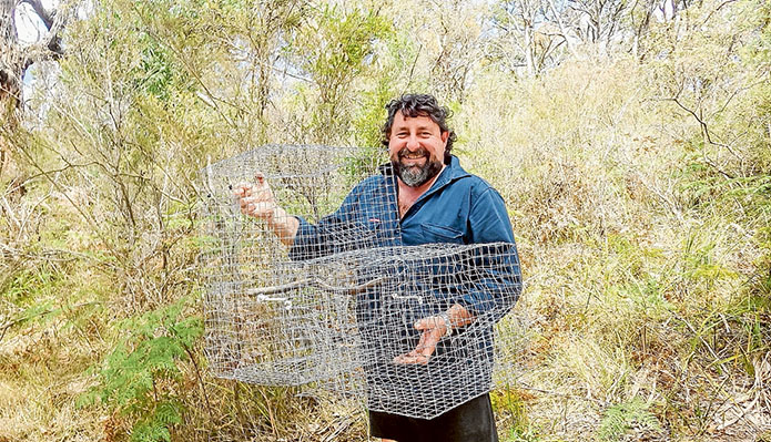 Wildlife threat: Southwest Mornington Peninsula Landcare Group president Rob Nigro with an Indian myna cage trap.