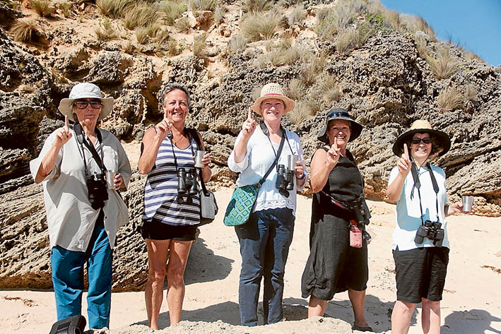 Plovers count: Volunteers, from left, Val Ford, Loos Greene, Karen Wooton, Jo Hansen and Rosalba Caterna, at Fowlers beach on the southern Mornington Peninsula where the first hooded plover chick of the season has managed to take flight. 