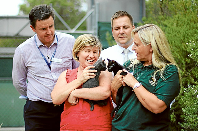 Feline friendly: Community Animal Shelter team leader Scott Morone, RSPCA Local Government Services manager Michelle Eeles, the shire’s Environment Protection manager David Dobroszczyk and Community Animal Shelter coordinator Robyn Geer at the launch the Purrfect Match campaign.