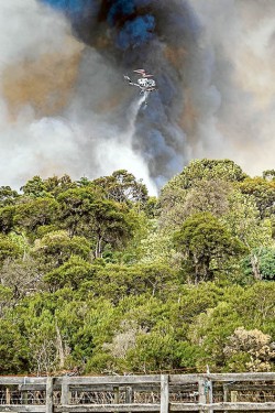 Sky fall: Helicopters drop retardant on Tuesday’s Somerville fire. This picture, by photographer Gary Sissons, was taken near the Frankston-Flinders and Coolart roads intersection.