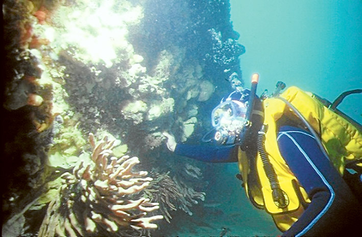 Exploring the wreck. South Channel, Port Phillip.