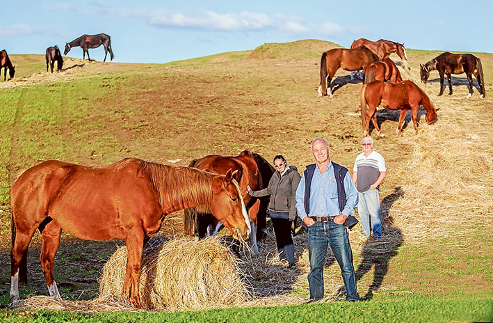 Ms Crosbie, left, and Ace-Hi owners Tony Marks, centre, and Ron Neary were happy to be photographed during the regular feeding time of  their herd. Picture: Yanni