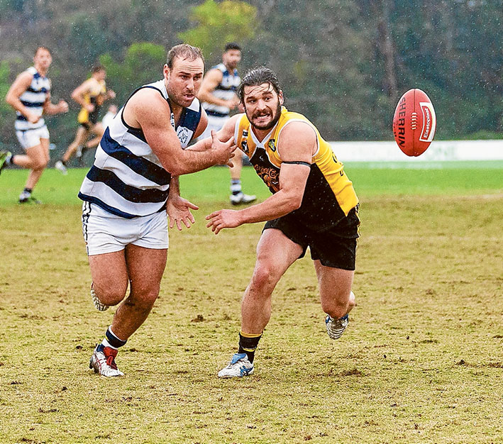 Frankston YCW roll on: Chelsea couldn’t stop the Stonecats train, going down by 84 points. Picture: Andrew Hurst