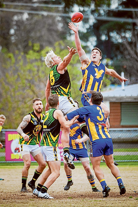 NFNL RND 8 Sommie vs Dromana Seniors-2