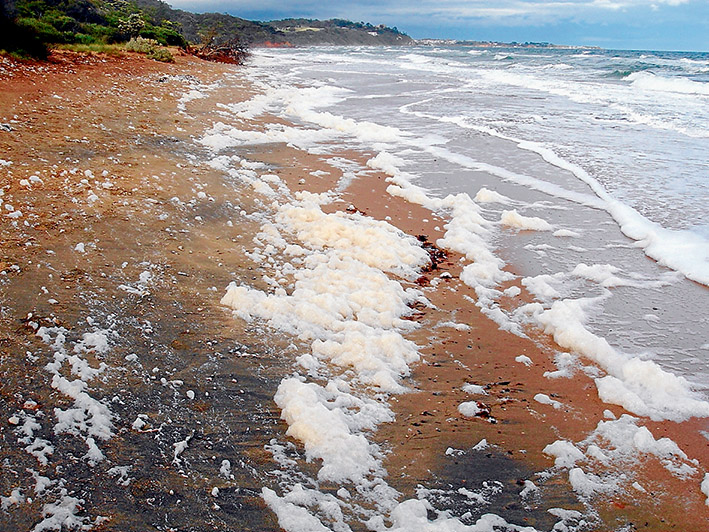 Killer bubbles: Toxic foam suspected of coming from outfalls of the Western Treatment Plant near Werribee has been blowing across Port Phillip and killing foreshore plants at Mt Eliza and other locations on the peninsula. This is Moondah Beach on 6 May looking toward Mornington harbour. Picture: Jeff Yugovic