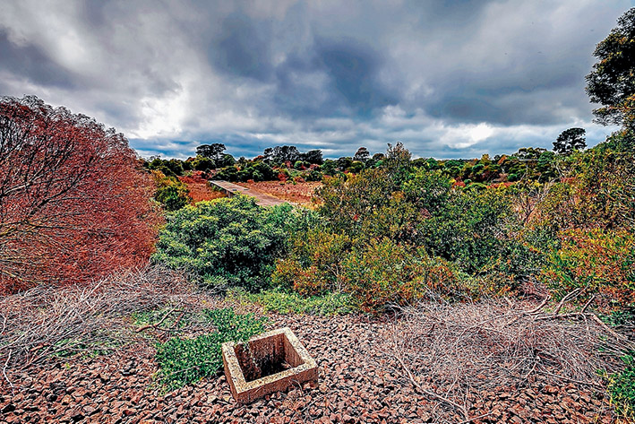 Last chance to see: South East Water’s decommissioned reservoir in Mt Eliza is a step closer to becoming housing with no provision for a nature reserve following a report from a panel that ignored calls for more open space in the area. Picture: Yanni