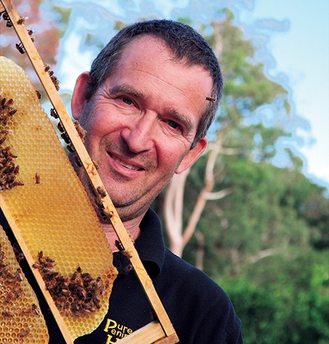 Hive watch: Bees swarm around one of the sentinel hives at Western Port. Picture: Keith Platt