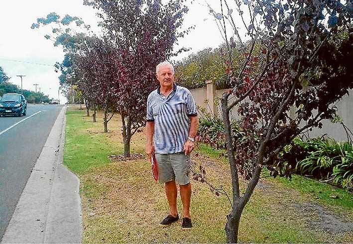 Unkind cuts: Rob Debernardi beside his “trimmed” roadside trees. “It’s more like tree vandalism,” he said.