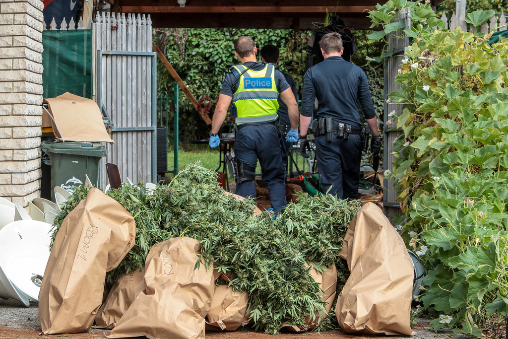Arrest Drugs Skye Rd Frankston. A drug raid in Skye Rd near Whistle Stop Park Frankston. Photo: Police with Marijuana at the front of the Skye Rd Property.