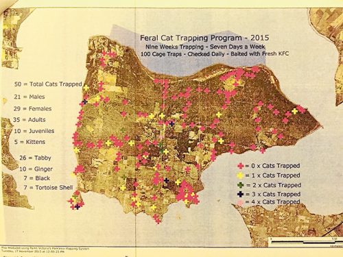 french si cat map