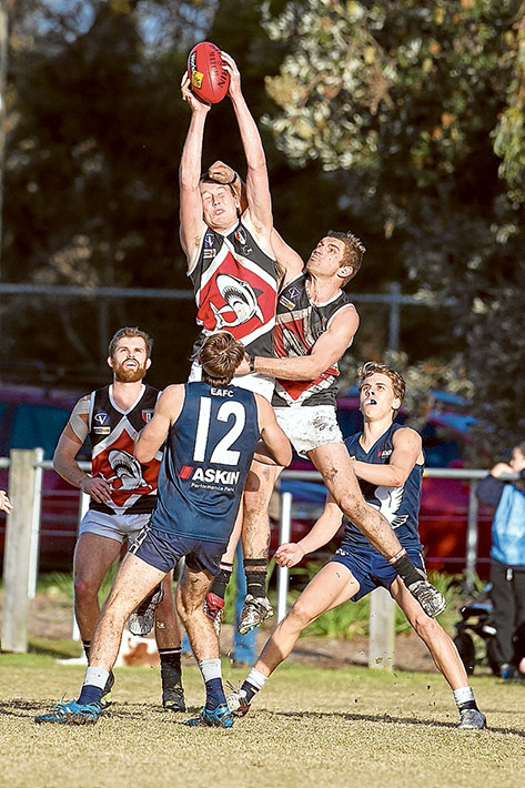 Sharks strike: Bonbeach defeated neighbour Edithvale-Aspendale by 24 points. Pictures: Scott Memery