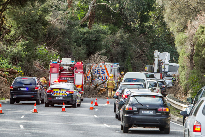 Trees Down Nep Hwy Mt Eliza. A large Pine Tree fell over the Nepean Highway between Mt Eliza Way and Old Mornington Rd, Three cars were damaged but luckily nobody was hurt. CFA, SES and Police attended. The driver of a van who was delivering one of his magazines the "Mornington Peninsula Magazine" was very lucky, if he had a passenger in the van things might not have turned out as well. One of the branches smashed the windscreen and a large branch went through the van into the rear compartment. Another woman had a baby in a child seat and the car was damaged but nobody was hurt. There was a third and maybe a fourth car that was damaged. Traffic was held up at the start but then the traffic was diverted as the Nepean Highway was closed off until the tree could be cleared. The driver of the van is Archie I will send through details later, he said he started Pearl Magazine.