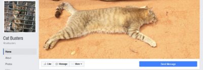 Caged or killed: The Cat Busters page of Facebook contains several shots of dead feral cats.