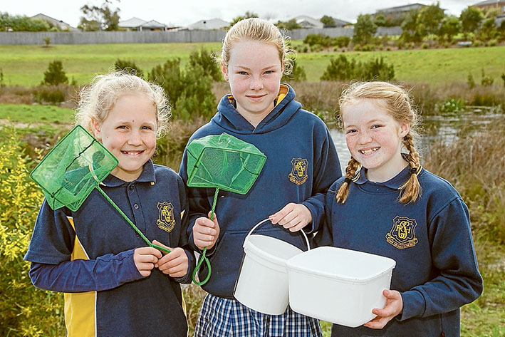 Seeing and caring: Red Hill Consolidated School’s Kelsey, Ruby and Brianna use a net to check on life in the water at Narambi Reserve, above, while heavy lifting equipment, left, is needed to clear the gross pollution trap. Mornington. Pictures: Gary Sissons