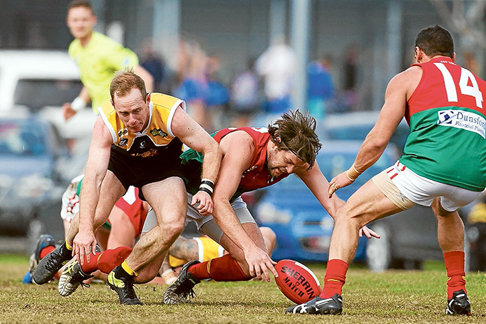 Stonecats steamroll Pines: The Pythons had no answer for Frankston YCW, going down by 56 points. Picture: Scott Memery