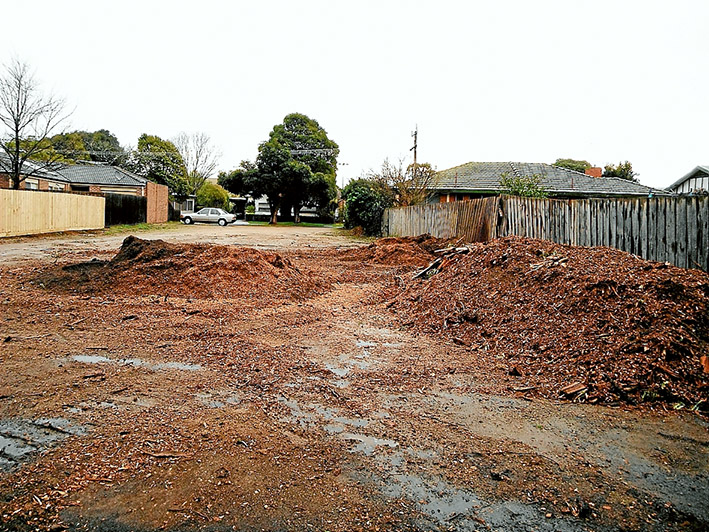 Remnant sawdust: Piles of sawdust are all that remain of two manna gums removed to make way for development at Hastings.