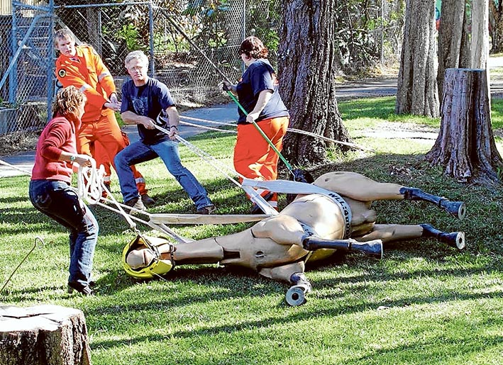 Race to rescue: Workshop participants will learn how to safely rescue large animals on this model. Picture: Supplied