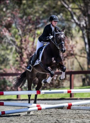 ruby-stubbs-national-equestrian-jumping-shot-png-jpg