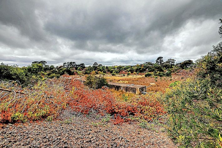 Nature at risk: The former reservoir could be sold for housing. Picture: Yanni