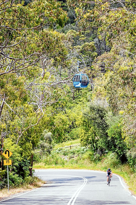 Arthurs Seat Chairlift Opening. Photo: