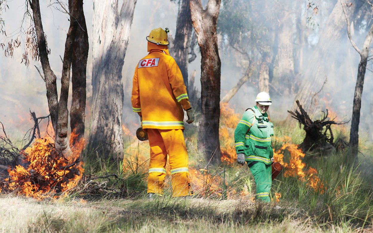 CFA Members undertaking a controlled burn.