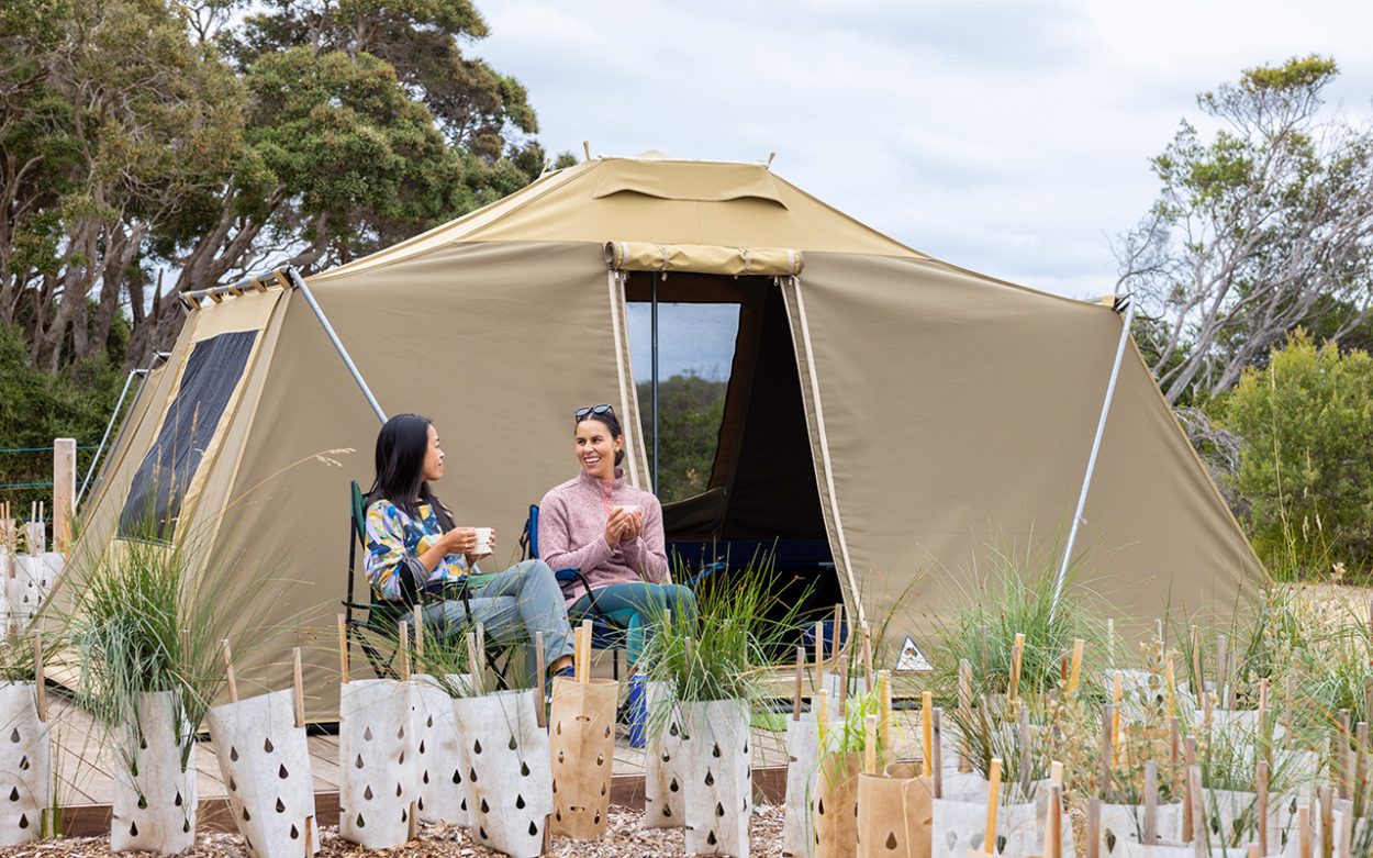 Thirteen more tent platforms are now being built within the historic Quarantine Station precinct, creating a “woodland” camping area among the park’s moonah trees. Picture: supplied