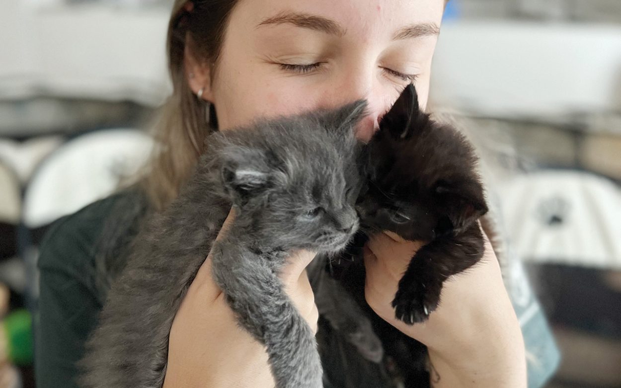 Supporting litters while reducing litter