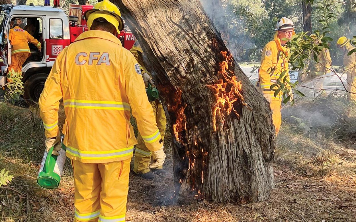 CFA brigades target fuel loads at Arthurs Seat