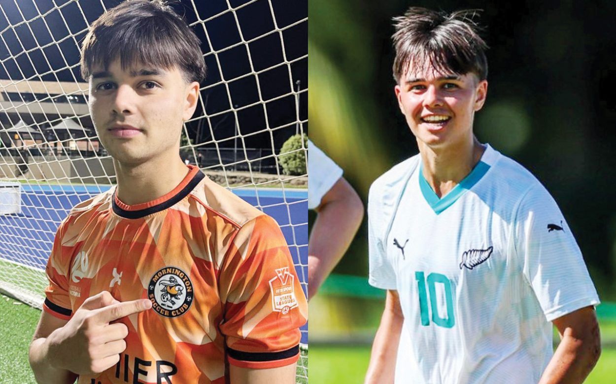 Seagulls swoop on NZ talent
