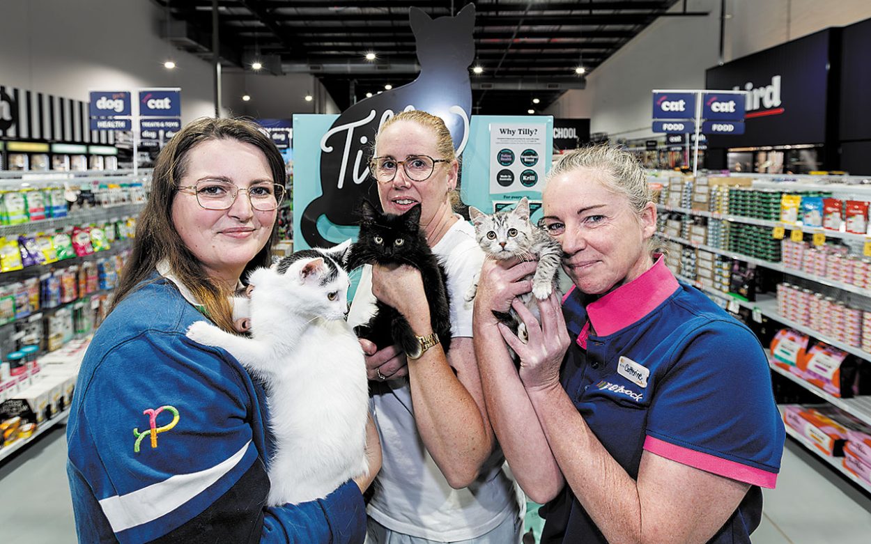 Local animal rescues join Petstock adoption weekend