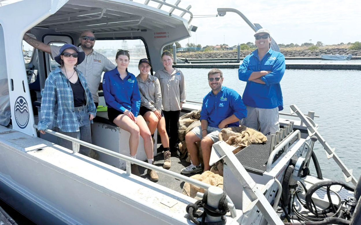 Peninsula scoops three Tidy Towns honours