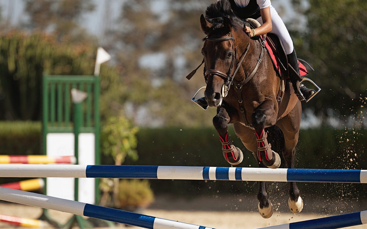 Petstock backs Boneo showjumping championships