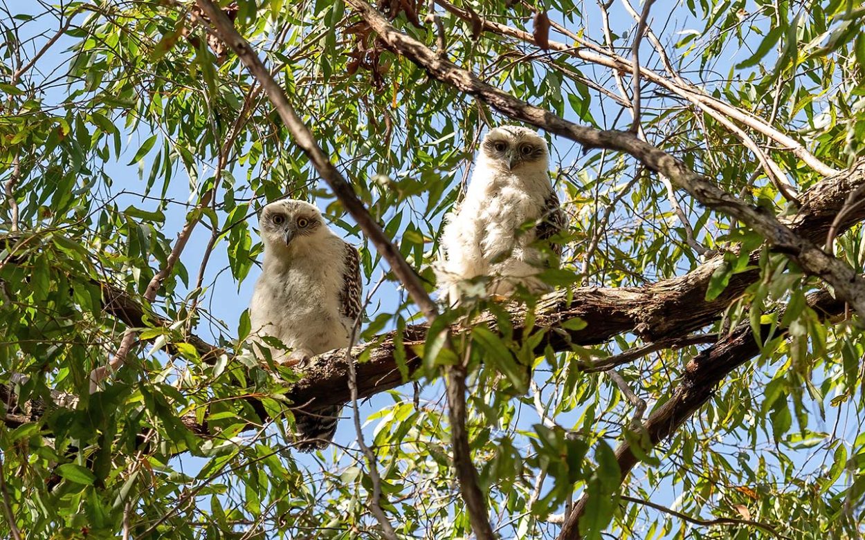 Shire to seek conservation covenants feedback