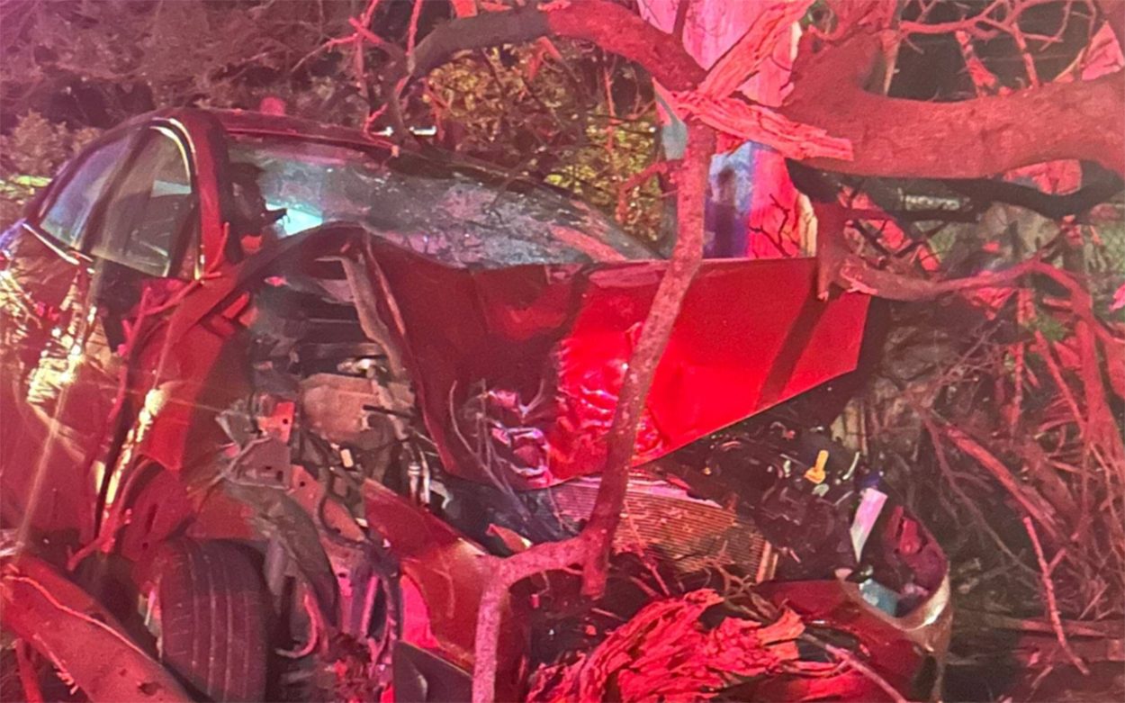 Car written off, driver uninjured in Dromana drink-driving crash