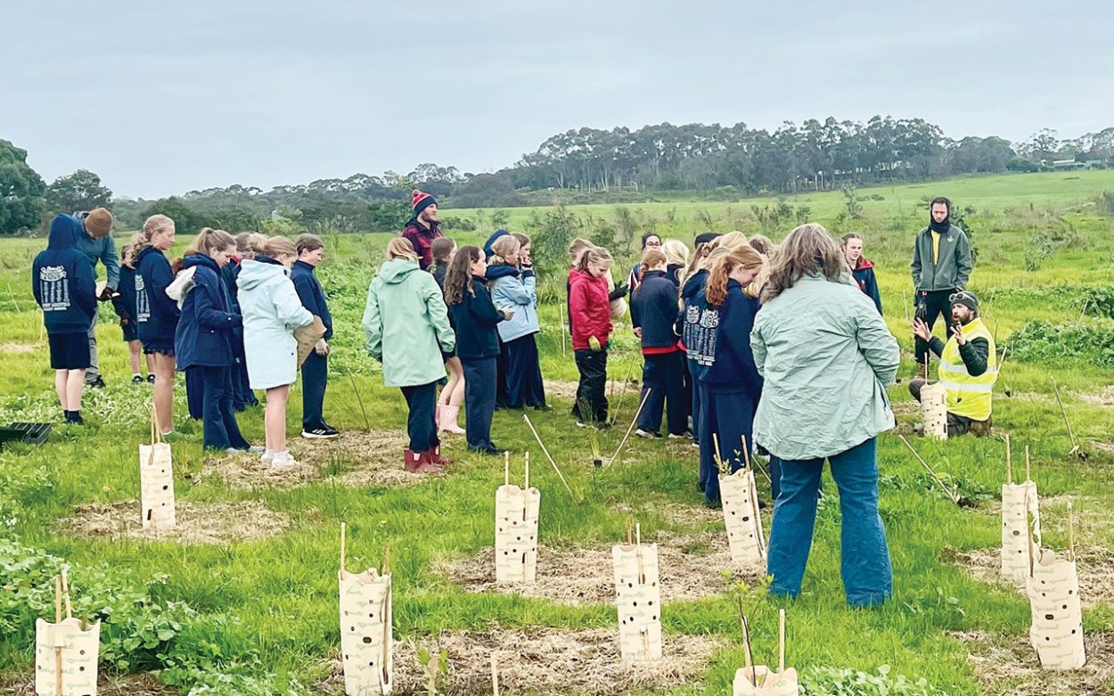 Mount Martha students brave the cold for National Tree Day