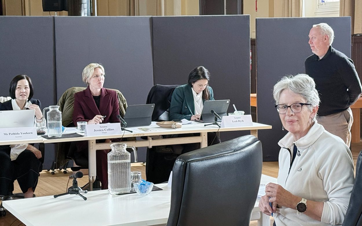 Committee looks at Cerberus sell-off, as environment group digs in for fight
