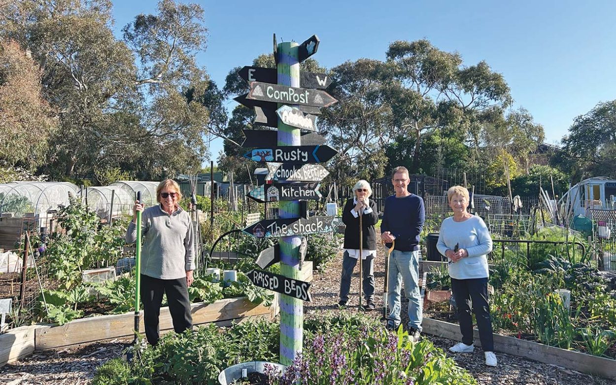 Open day for those that dig gardening