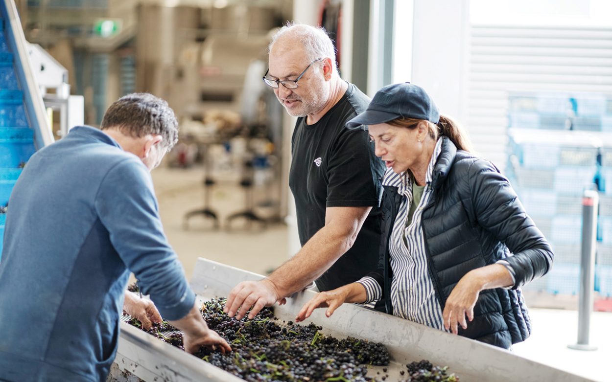 Peninsula producers put region on national food and wine map