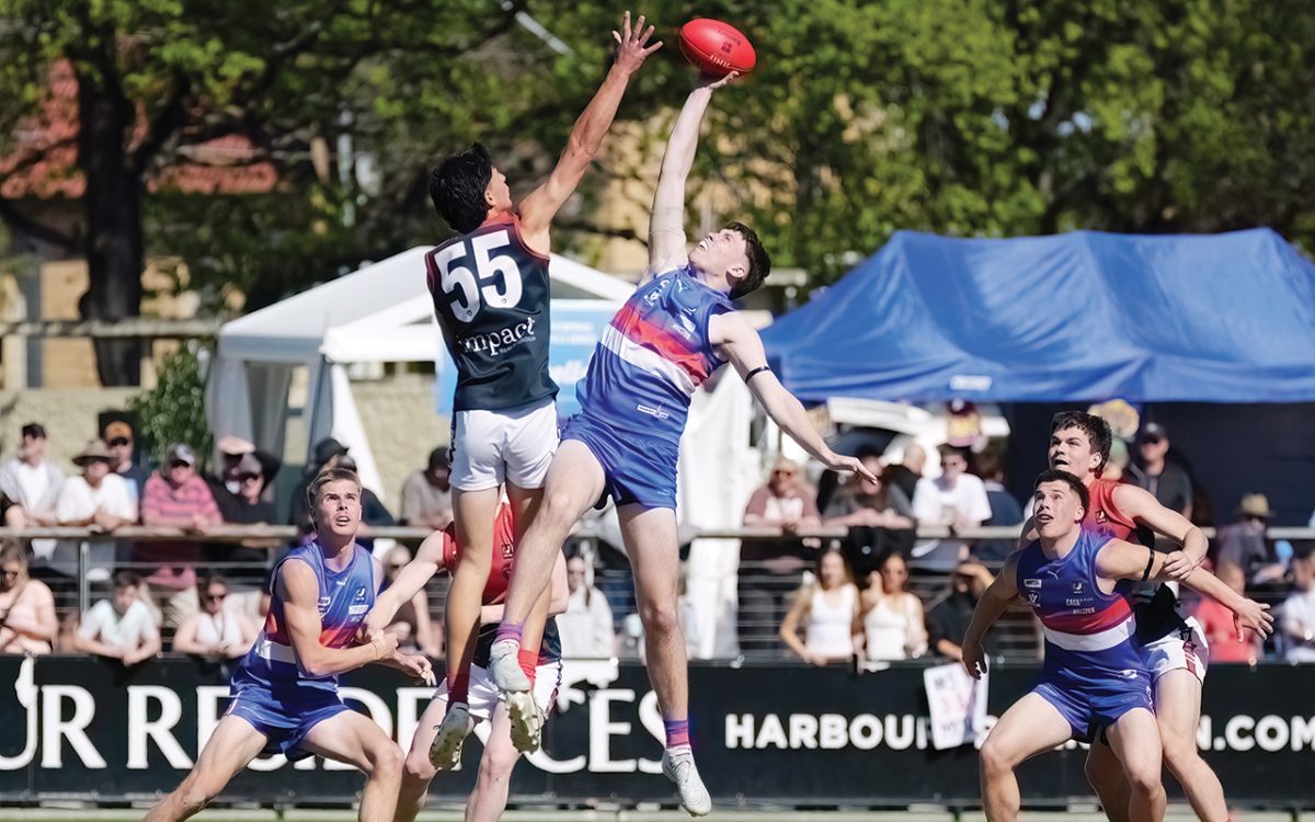 Threads Pull Image Under 19's MPNFL - MPNEWS